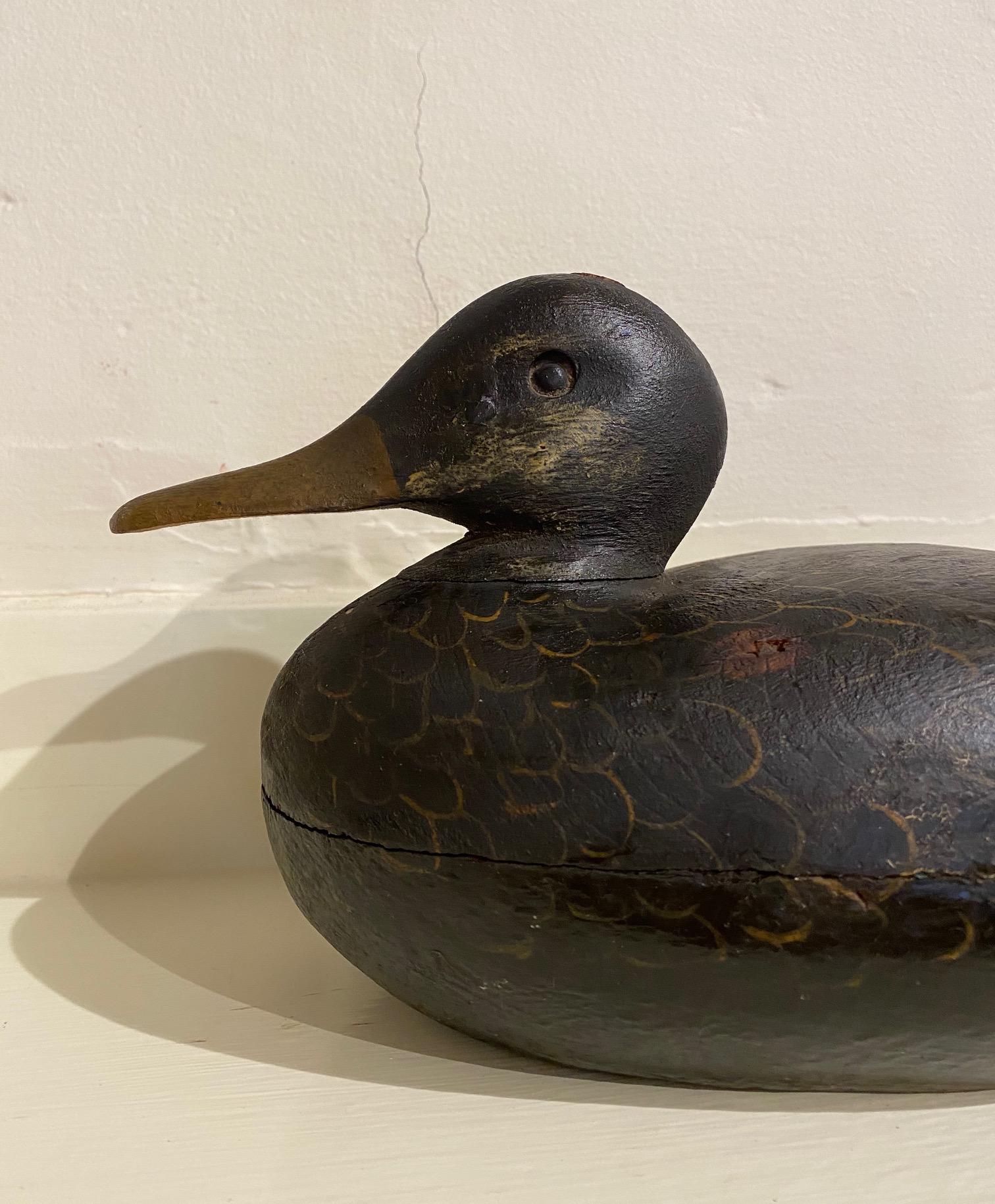 Antique Martha's Vineyard black duck drake decoy by Frank Richardson, Anthier's Pond in Edgartown (now called Sengekontacket Pond, circa 1920, in a contented posture with head tucked back on a low neck, with carved eyes, delicate feather scratched