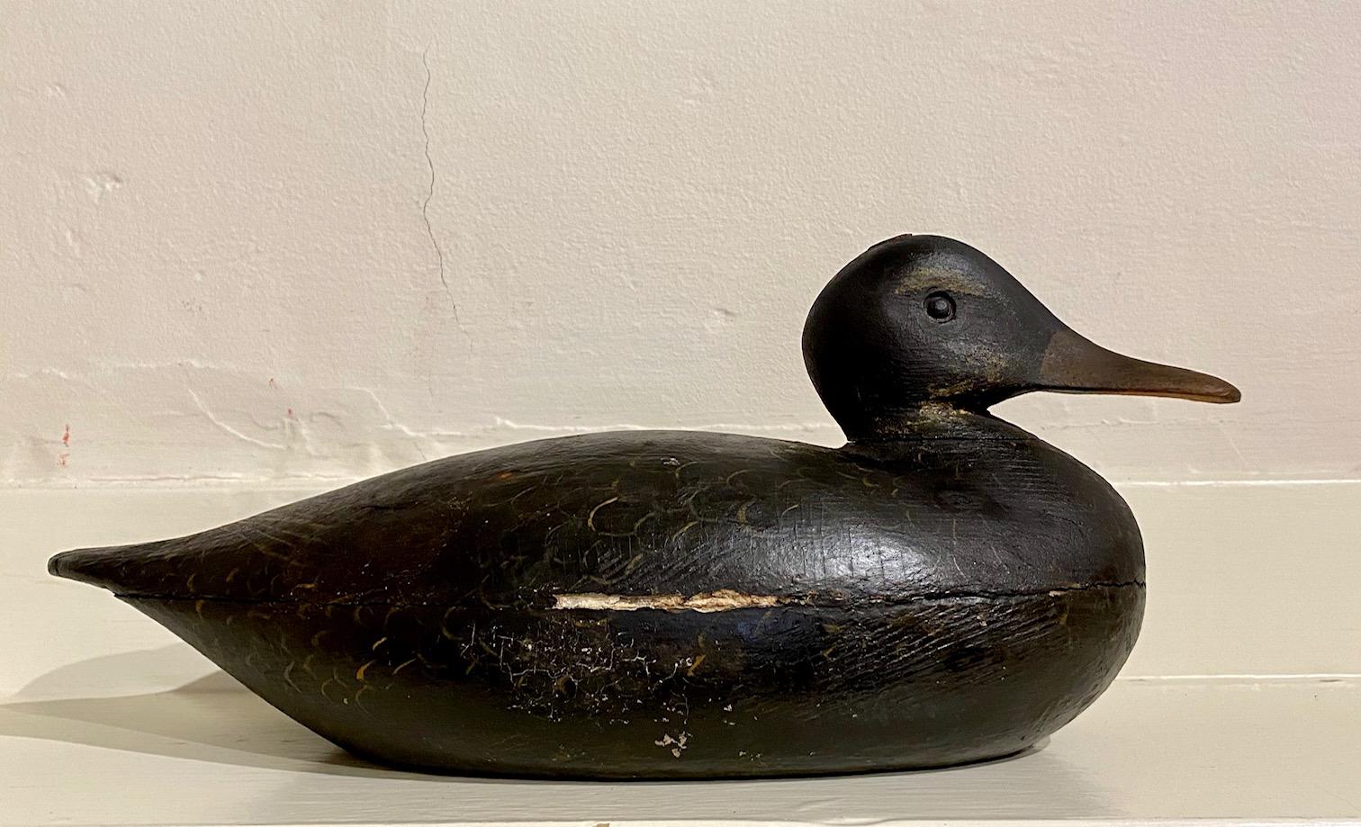 Martha's Vineyard Black Duck Decoy by Frank Richardson, circa 1920 In Good Condition In Nantucket, MA