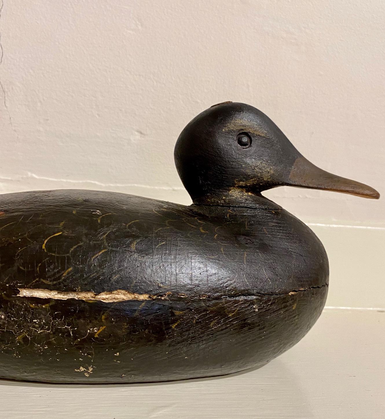 Early 20th Century Martha's Vineyard Black Duck Decoy by Frank Richardson, circa 1920