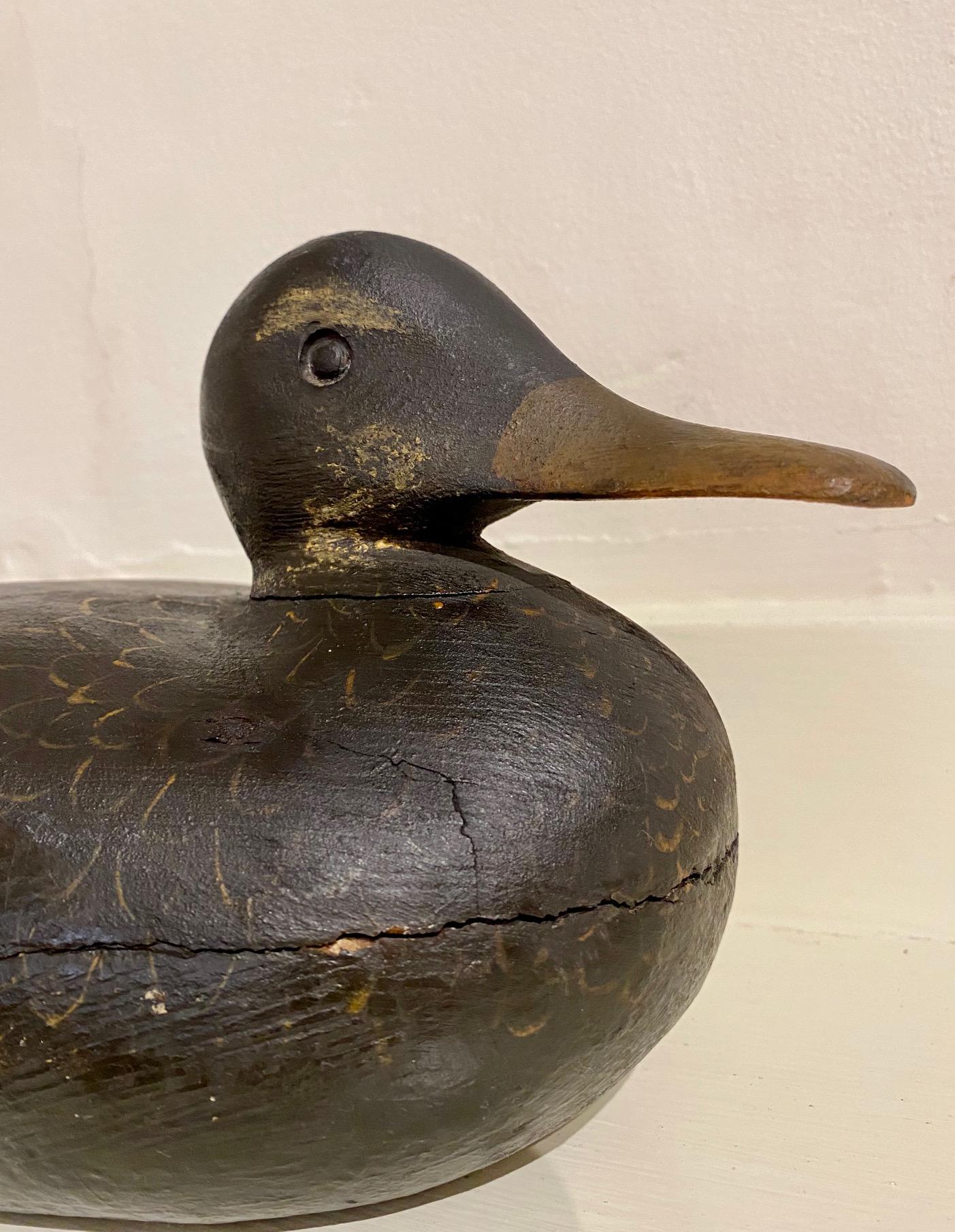 Wood Martha's Vineyard Black Duck Decoy by Frank Richardson, circa 1920