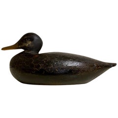 Antique Martha's Vineyard Black Duck Decoy by Frank Richardson, circa 1920