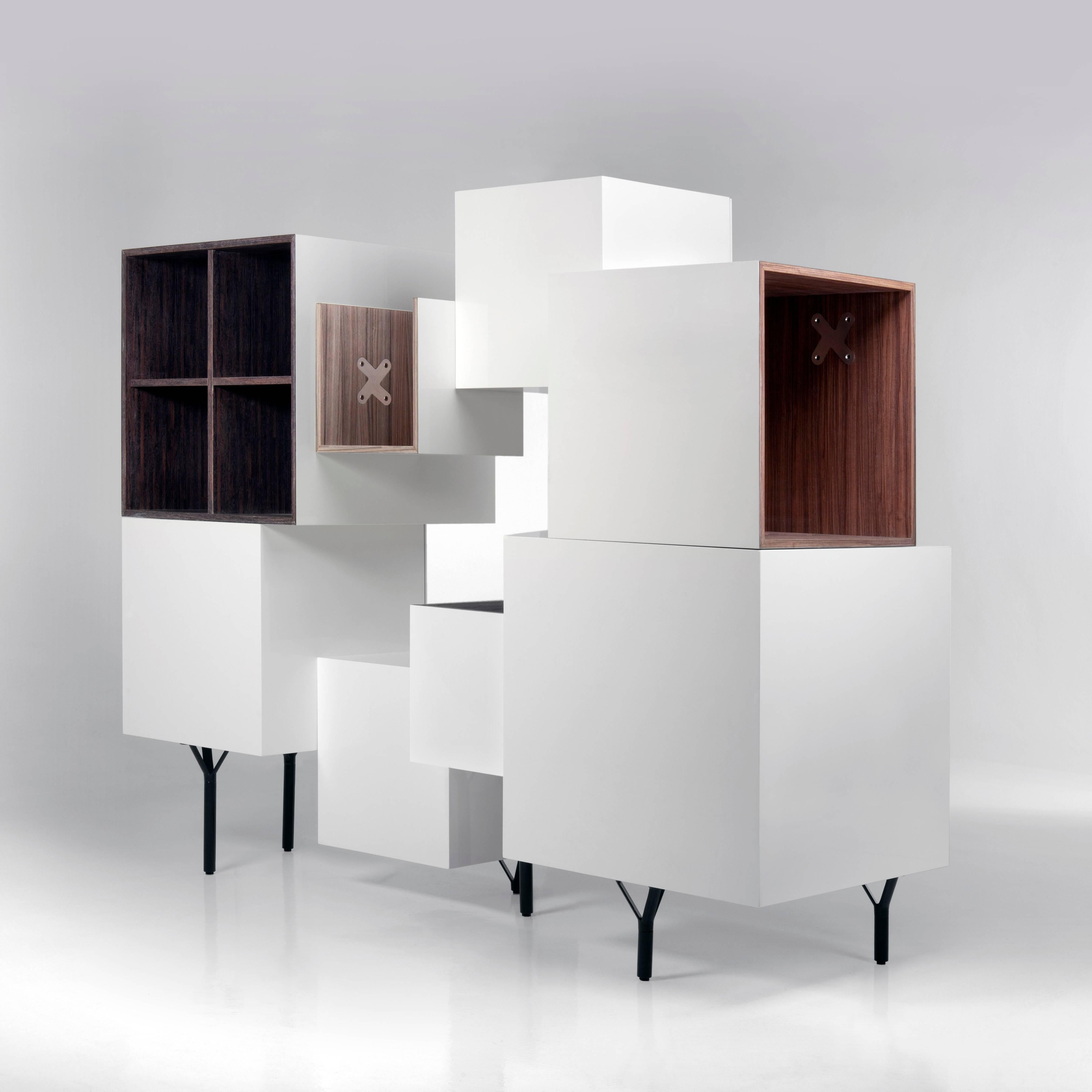 Cabinet designed by Martí Guixé in 2011 and manufactured by BD Barcelona.

This modular furniture is made of container cubes with various functions. They are dynamic both in their volume and in their positioning and finish. The woods, all