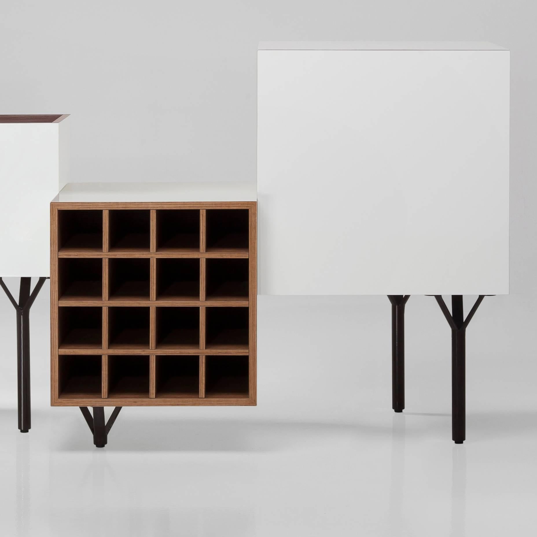 Cabinet designed by Martí Guixé in 2011 and manufactured by BD Barcelona.

This modular furniture is made of container cubes with various functions. They are dynamic both in their volume and in their positioning and finish. The woods, all