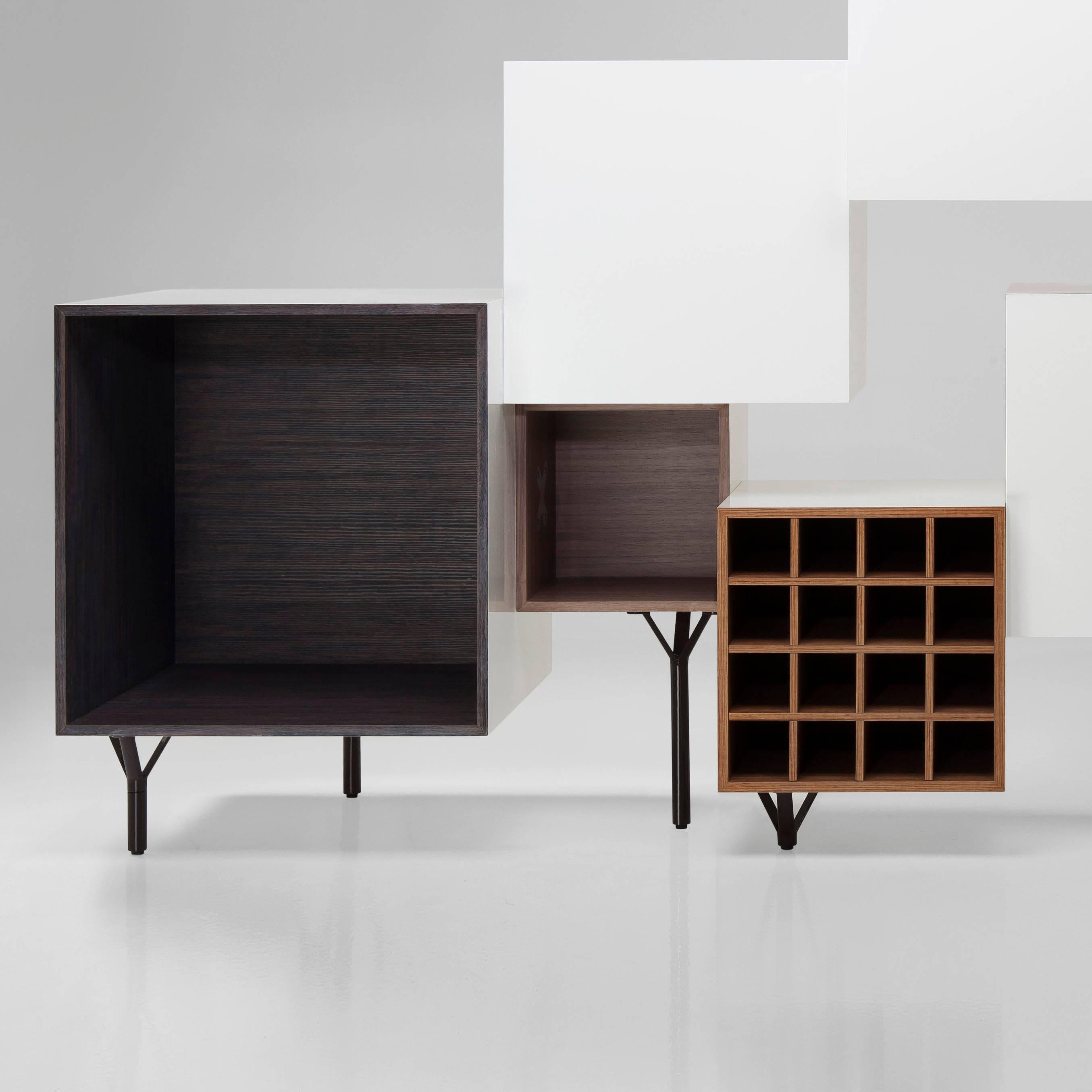 Cabinet designed by Martí Guixé in 2011 and manufactured by BD Barcelona.

This modular furniture is made of container cubes with various functions.They are dynamic both in their volume and in their positioning and finish.The woods, all different