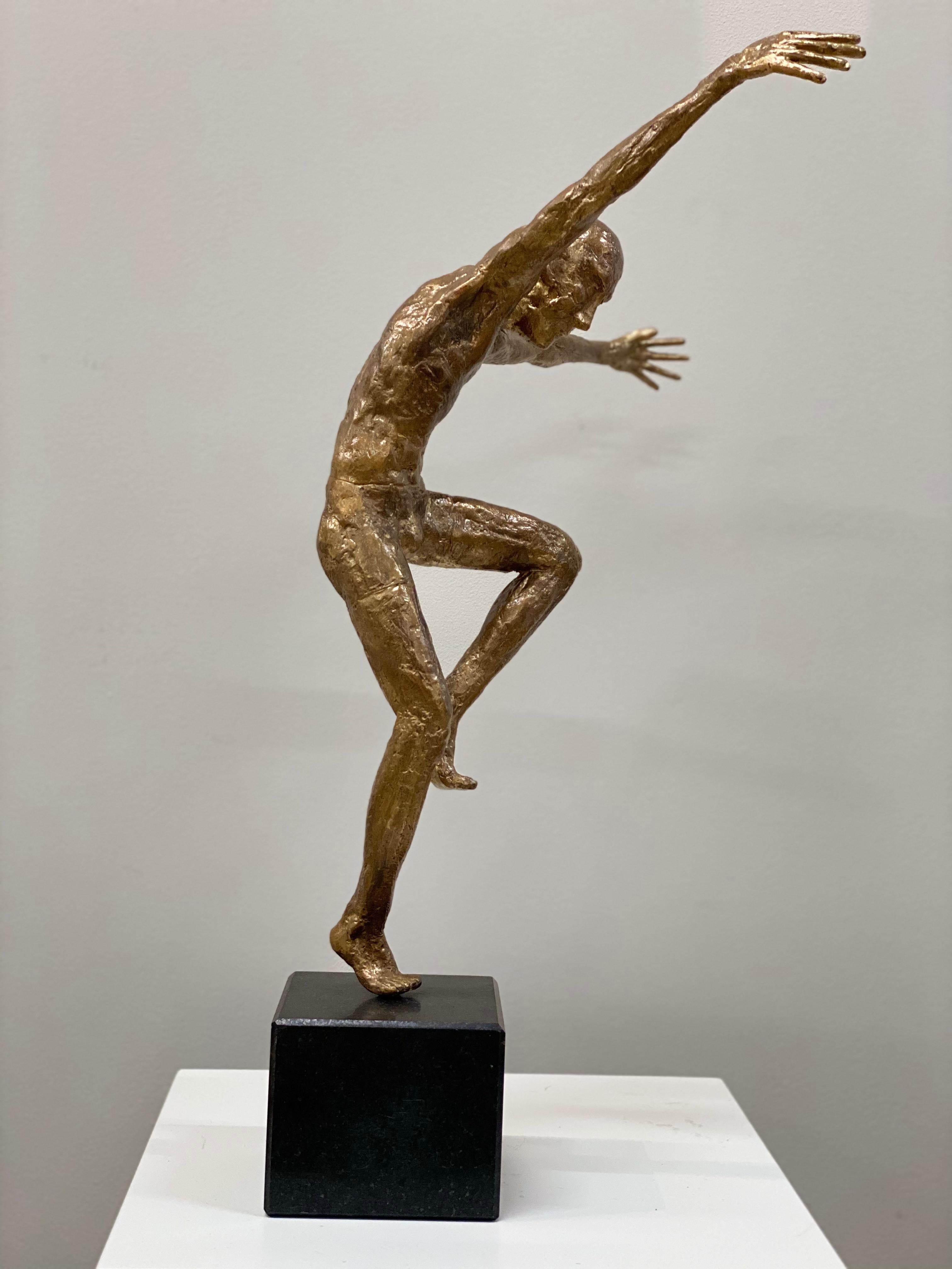 Diese Skulptur wurde vom niederländischen Künstler Martijn Soontiens aus Bronze gefertigt.   Die Skulptur steht auf einem Sockel aus Naturstein. 

Bei seinen männlichen Tanzskulpturen geht es um Bewegung und Bewegung. 

Der Künstler Martijn
