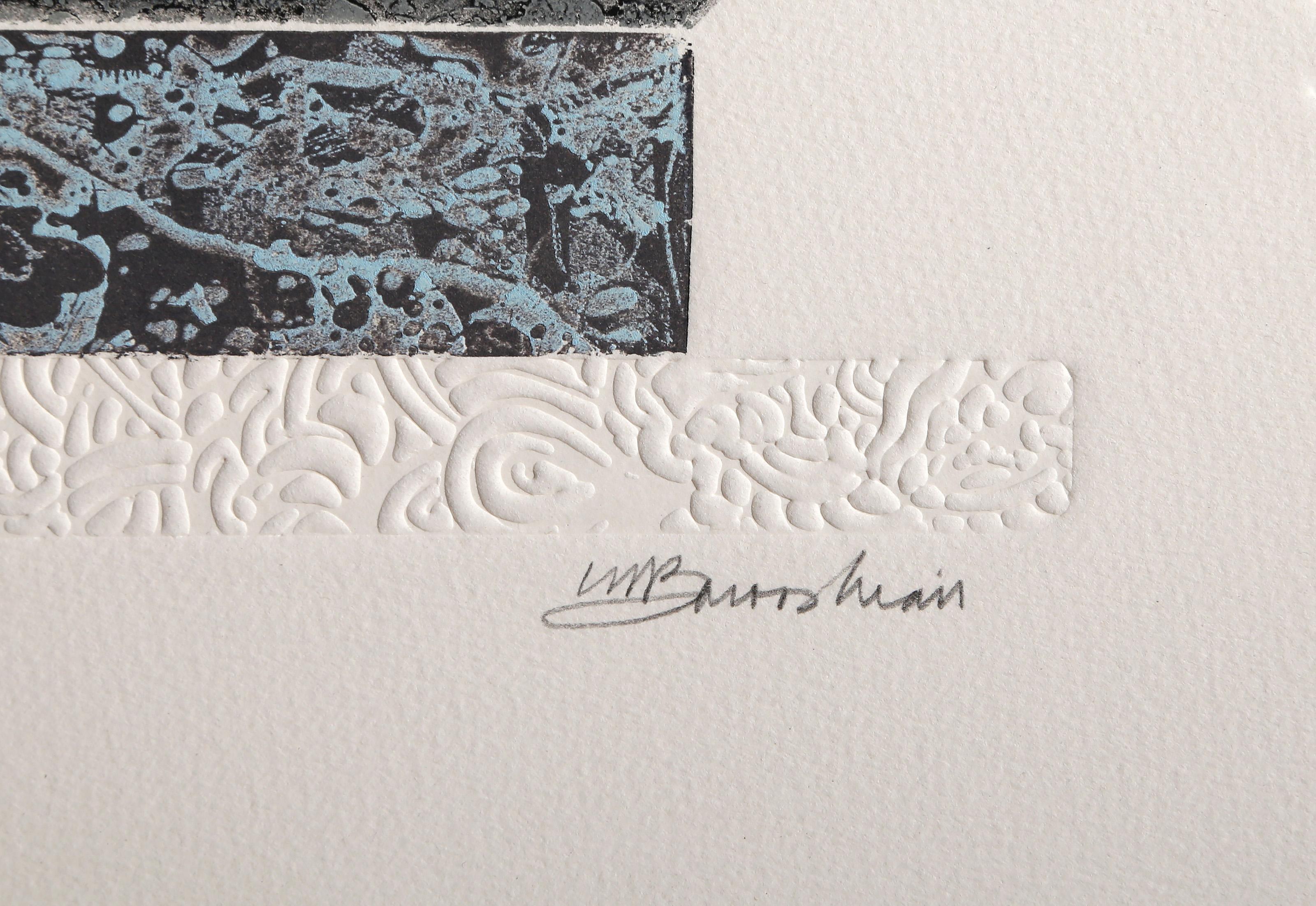 Albatross II, acquaforte, acquatinta e calcografia surrealista di Martin Barooshian in vendita 3