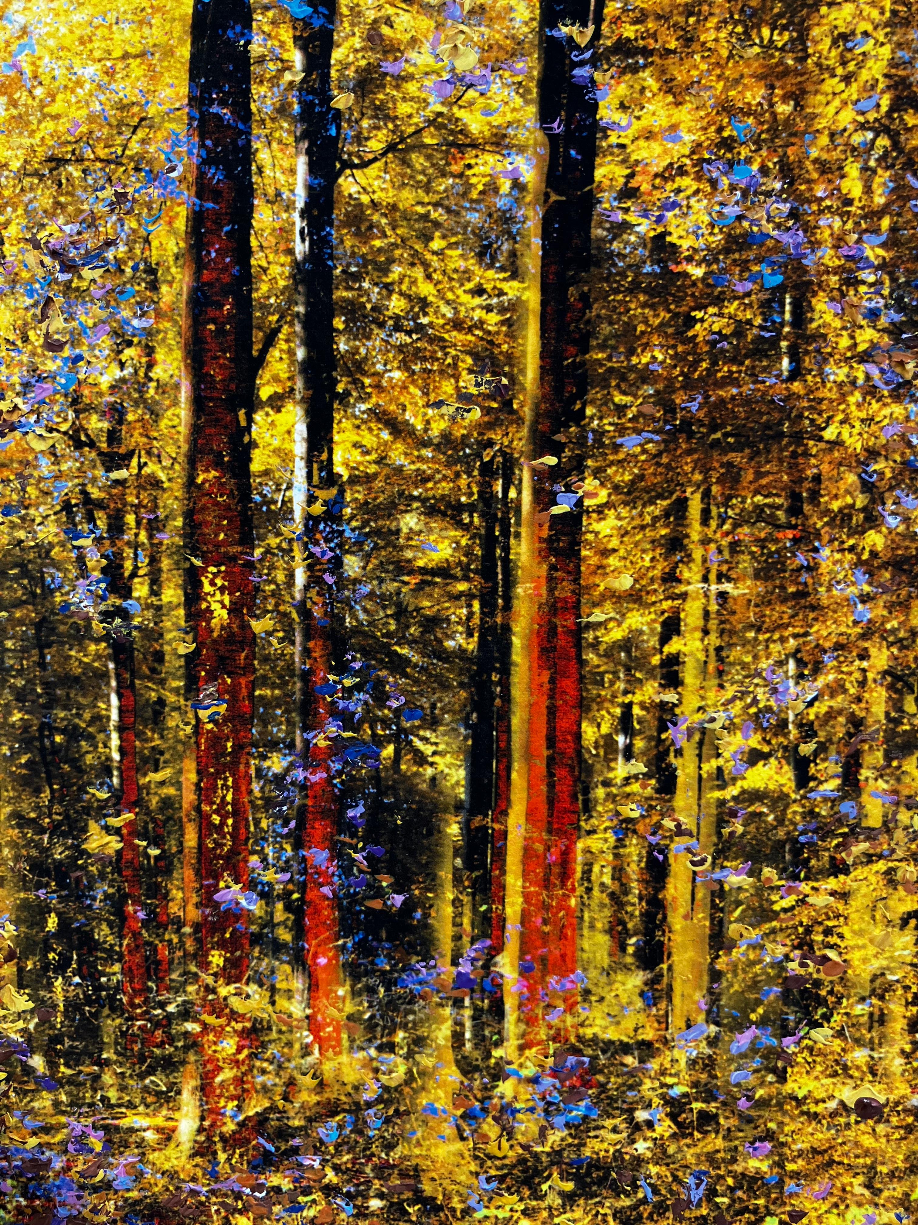 Martin Coiffier is a multidisciplinary visual artist who lives and works in Brussels. Through his works, he transforms nature and landscapes into poetic visions.
 
For each of his series, he creates unique processes that bring together different