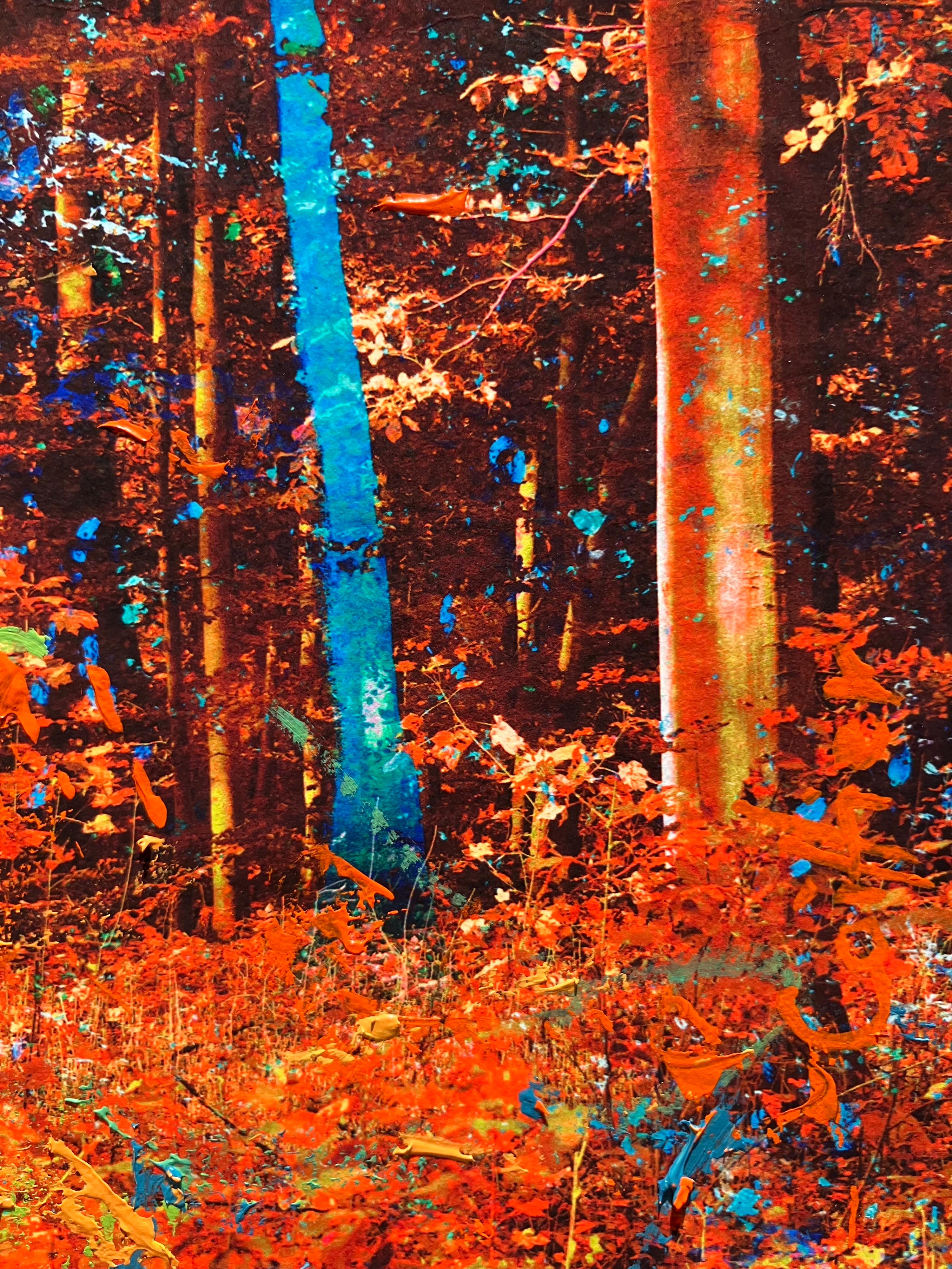 ''Eden'' Oeuvre d'art unique d'une forêt en automne orange, arbres - Contemporain Mixed Media Art par Martin Coiffier