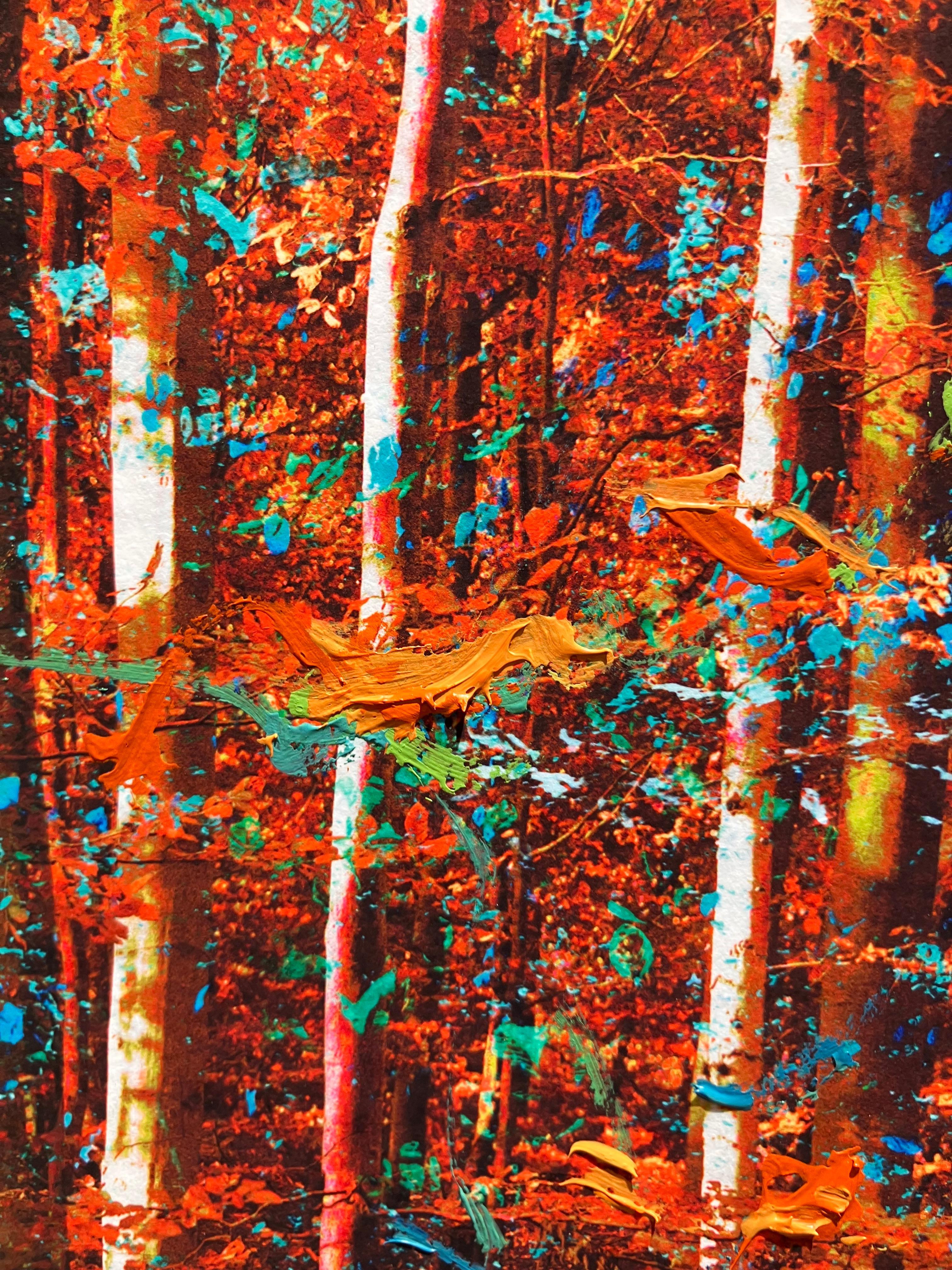 Martin Coiffier est un artiste visuel multidisciplinaire qui vit et travaille à Bruxelles. À travers ses œuvres, il transforme la nature et les paysages en visions poétiques.
 
Pour chacune de ses séries, il crée des procédés uniques qui réunissent