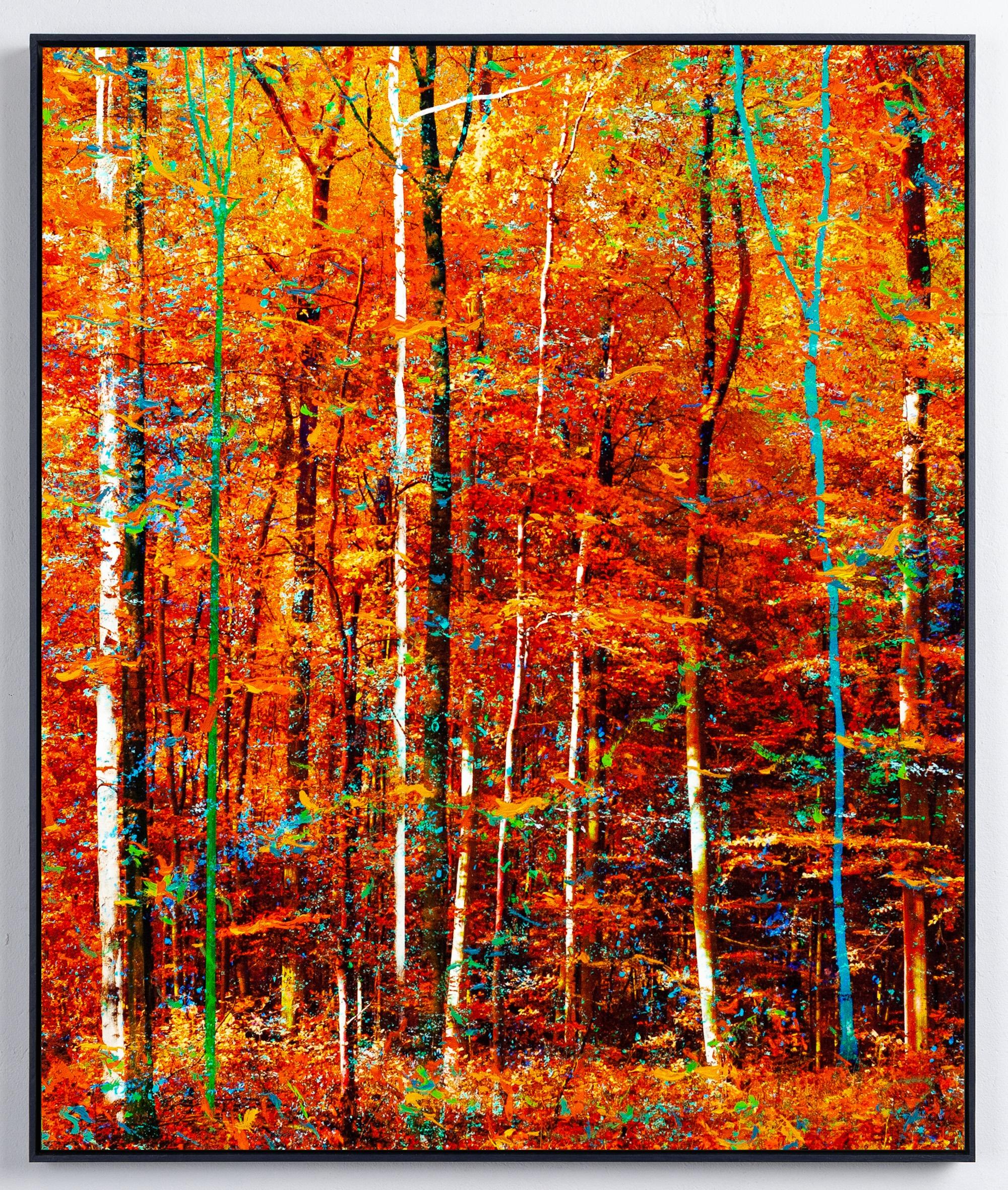 ''Eden'' Oeuvre d'art unique d'une forêt en automne orange, arbres - Mixed Media Art de Martin Coiffier