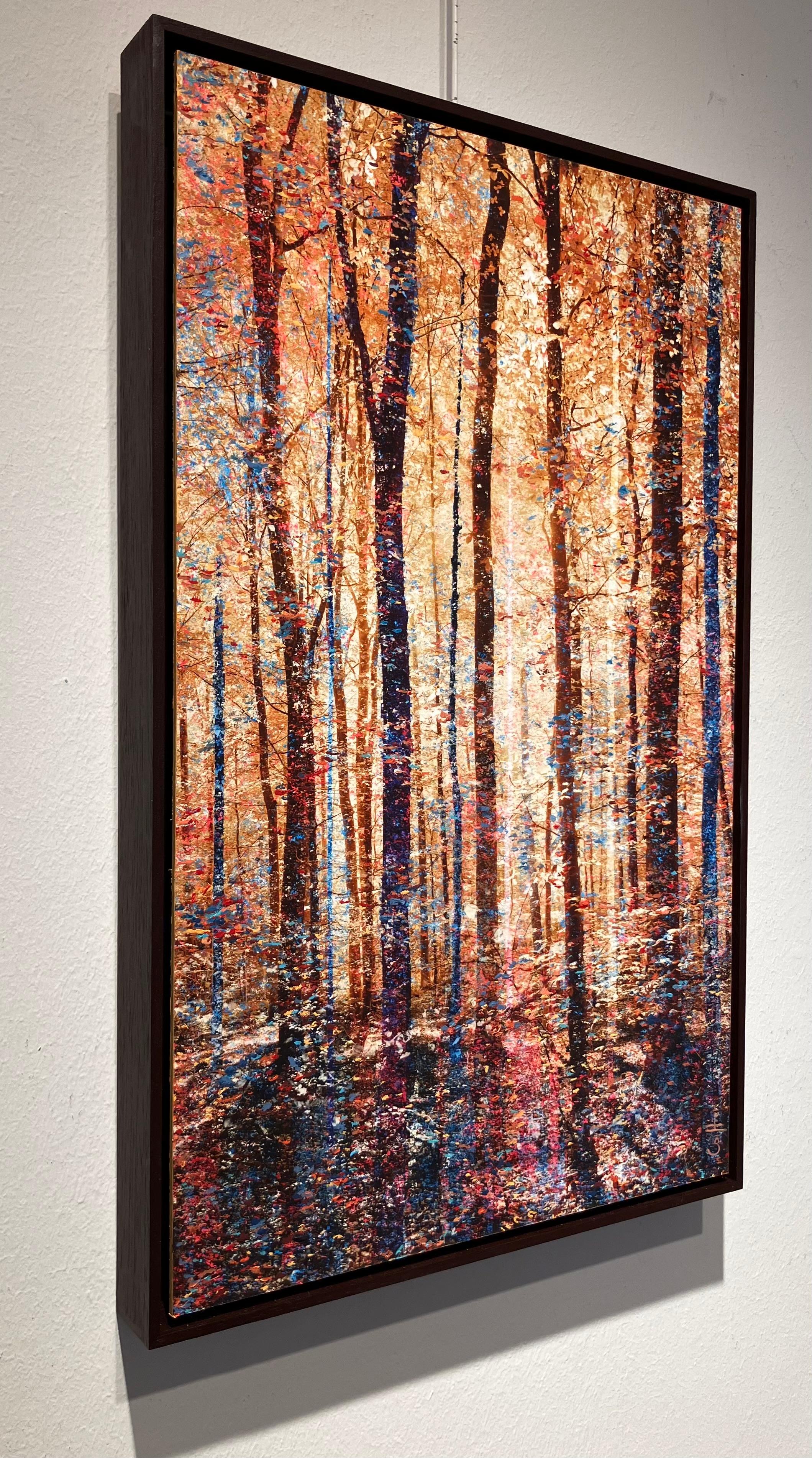 Martin Coiffier est un artiste visuel multidisciplinaire qui vit et travaille à Bruxelles. À travers ses œuvres, il transforme la nature et les paysages en visions poétiques.
 
Pour chacune de ses séries, il crée des procédés uniques qui réunissent