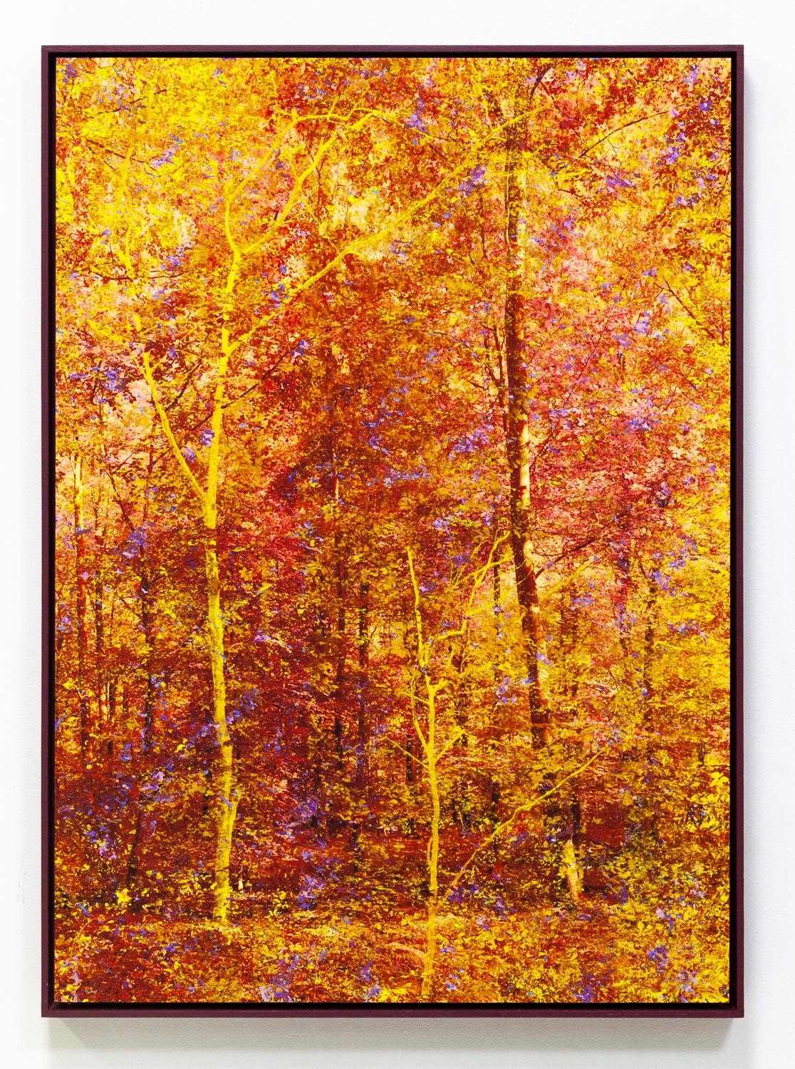 

Pink Melody

 Unique Artwork of a Forest in Yellow, Pink, Orange Trees - Mixed Media Art by Martin Coiffier
