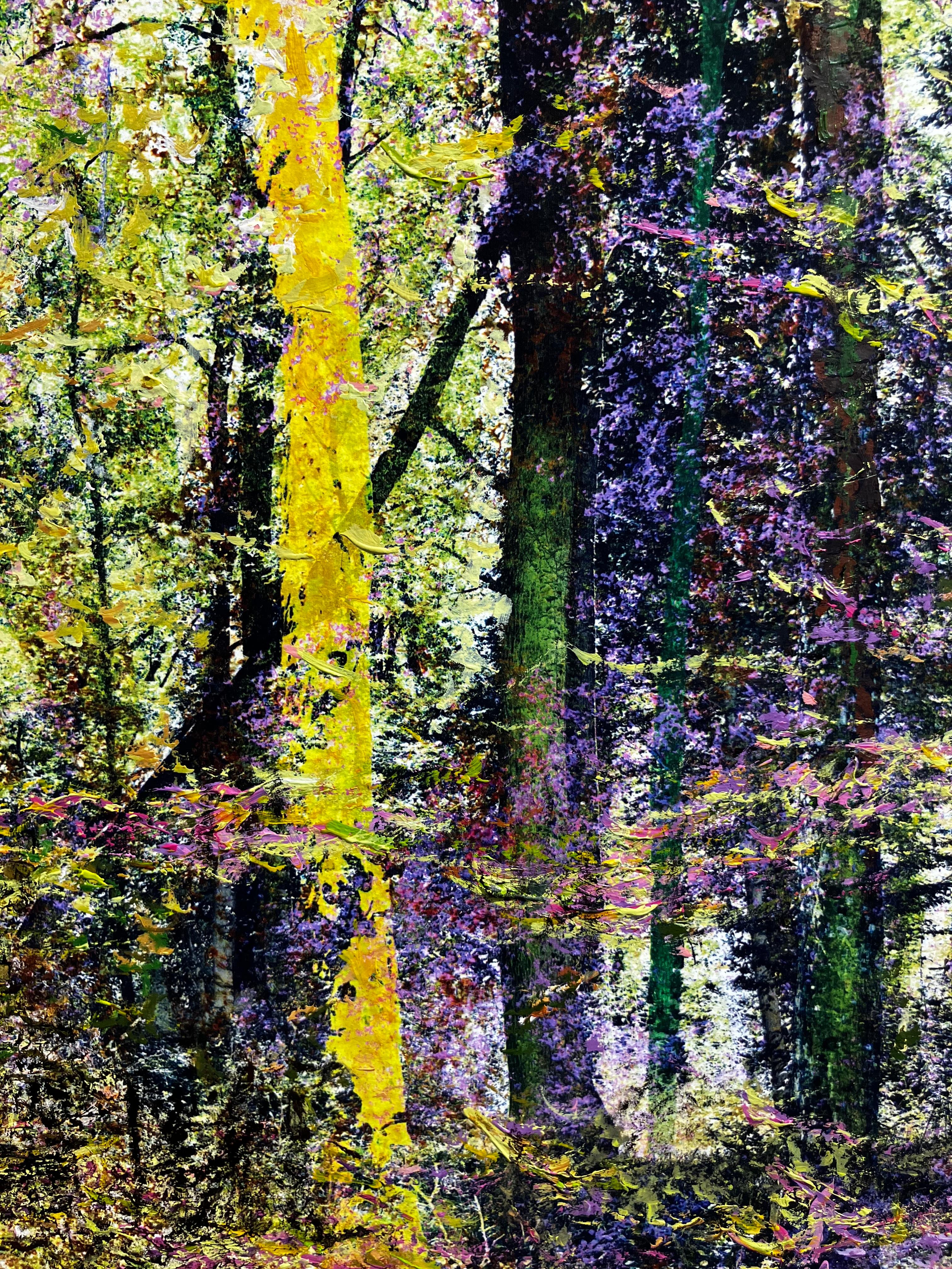 Martin Coiffier is a multidisciplinary visual artist who lives and works in Brussels. Through his works, he transforms nature and landscapes into poetic visions.
 
For each of his series, he creates unique processes that bring together different