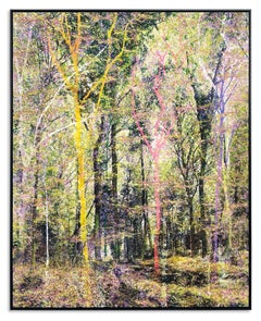 'Sweet Melody' Unique Artwork of a Forest in Yellow, Pink, Purple, Green