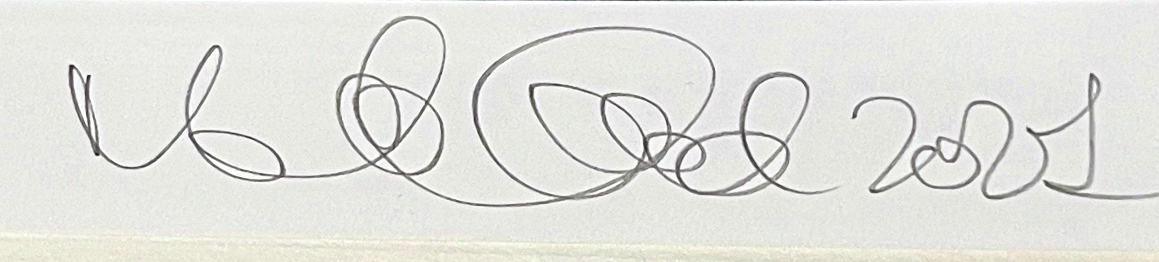 Everything's Going to be Alright (Work No. 3531), Signed/N print in archival box For Sale 1