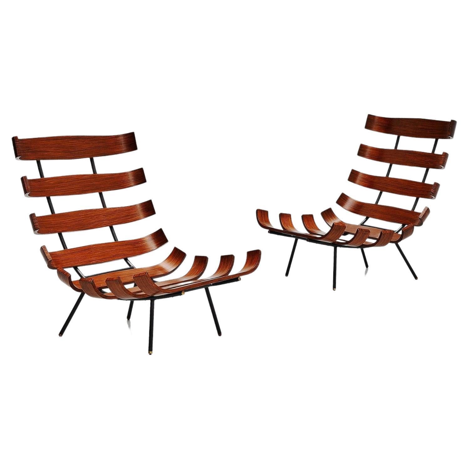 Martin Eisler and Carlo Hauner Costela Armchairs For Sale