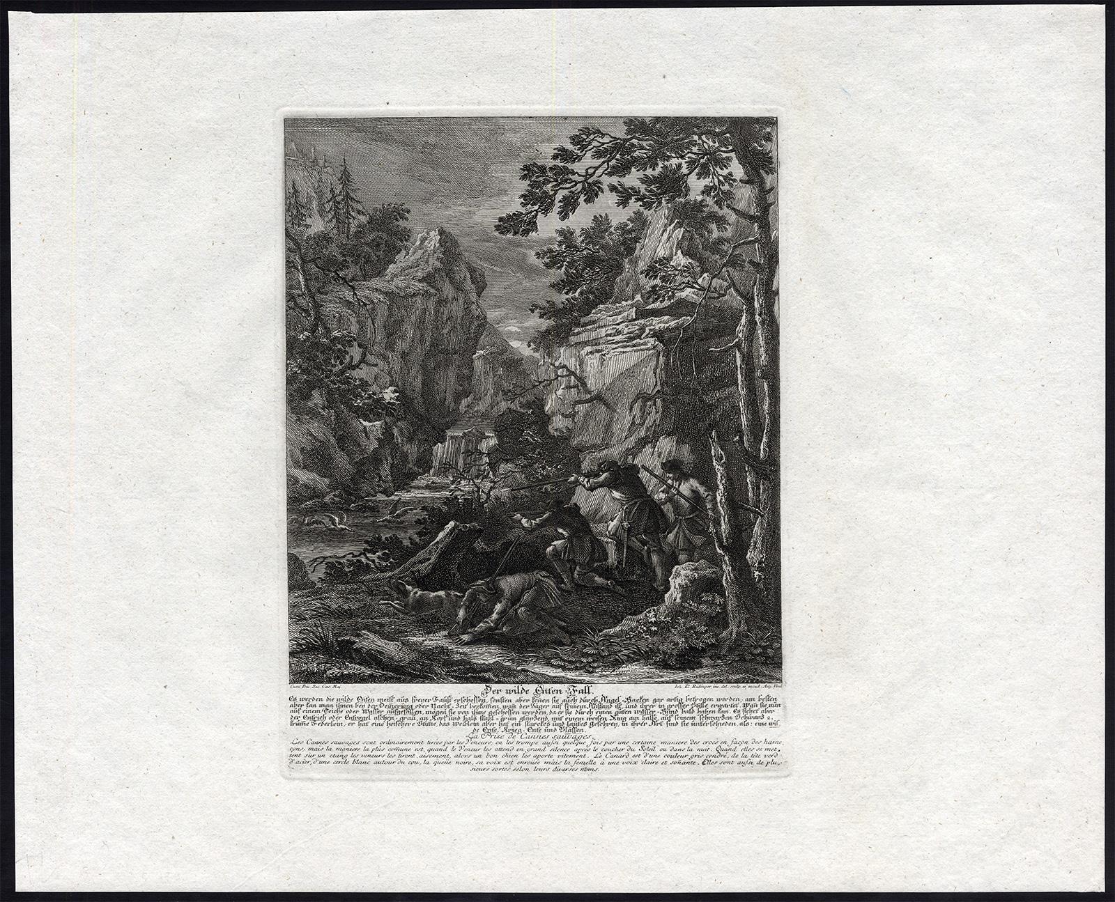A hunting scene print with a wild duck trap by Ridinger - Engraving - 18th c - Print by Martin Elias Ridinger