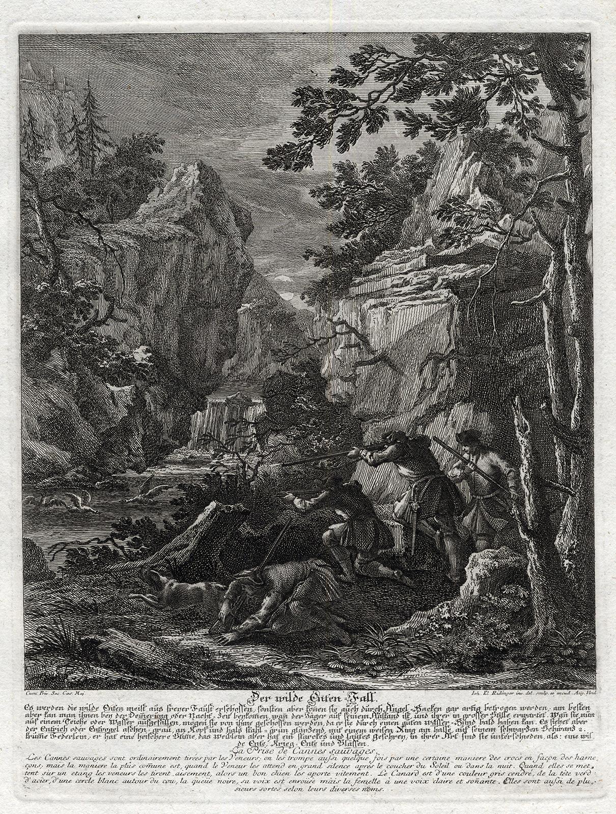 Martin Elias Ridinger Landscape Print - A hunting scene print with a wild duck trap by Ridinger - Engraving - 18th c