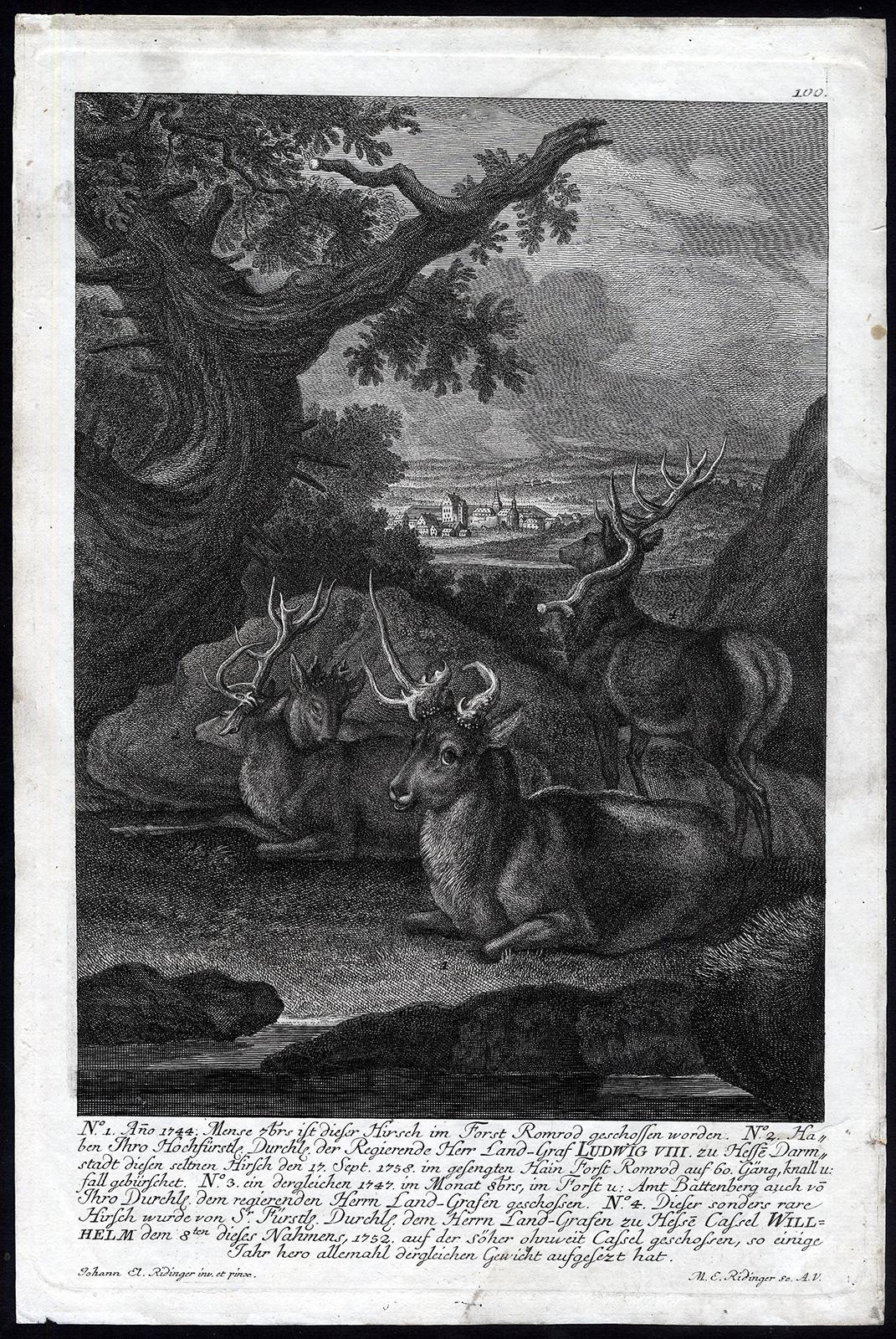 Antique hunting scene print in Romrod forest by Ridinger - Engraving - 18th c - Print by Martin Elias Ridinger