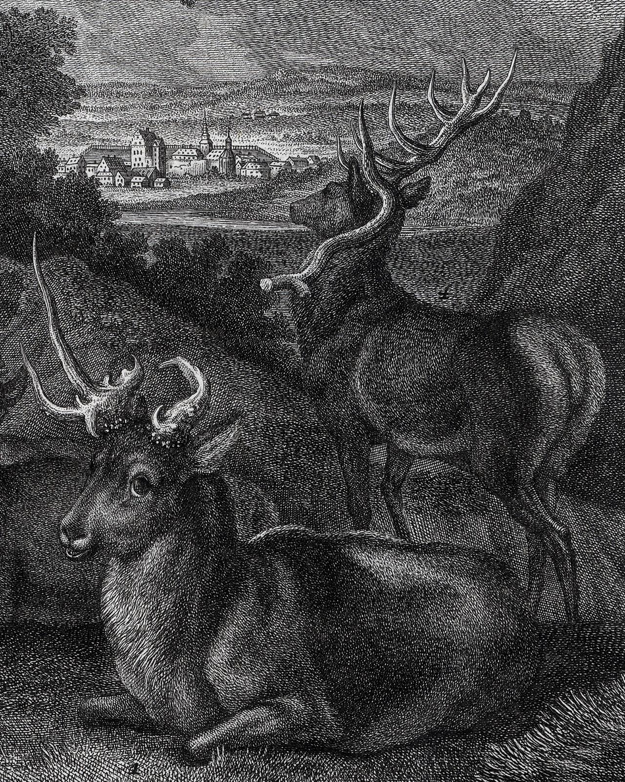 Antique hunting scene print in Romrod forest by Ridinger - Engraving - 18th c - Old Masters Print by Martin Elias Ridinger