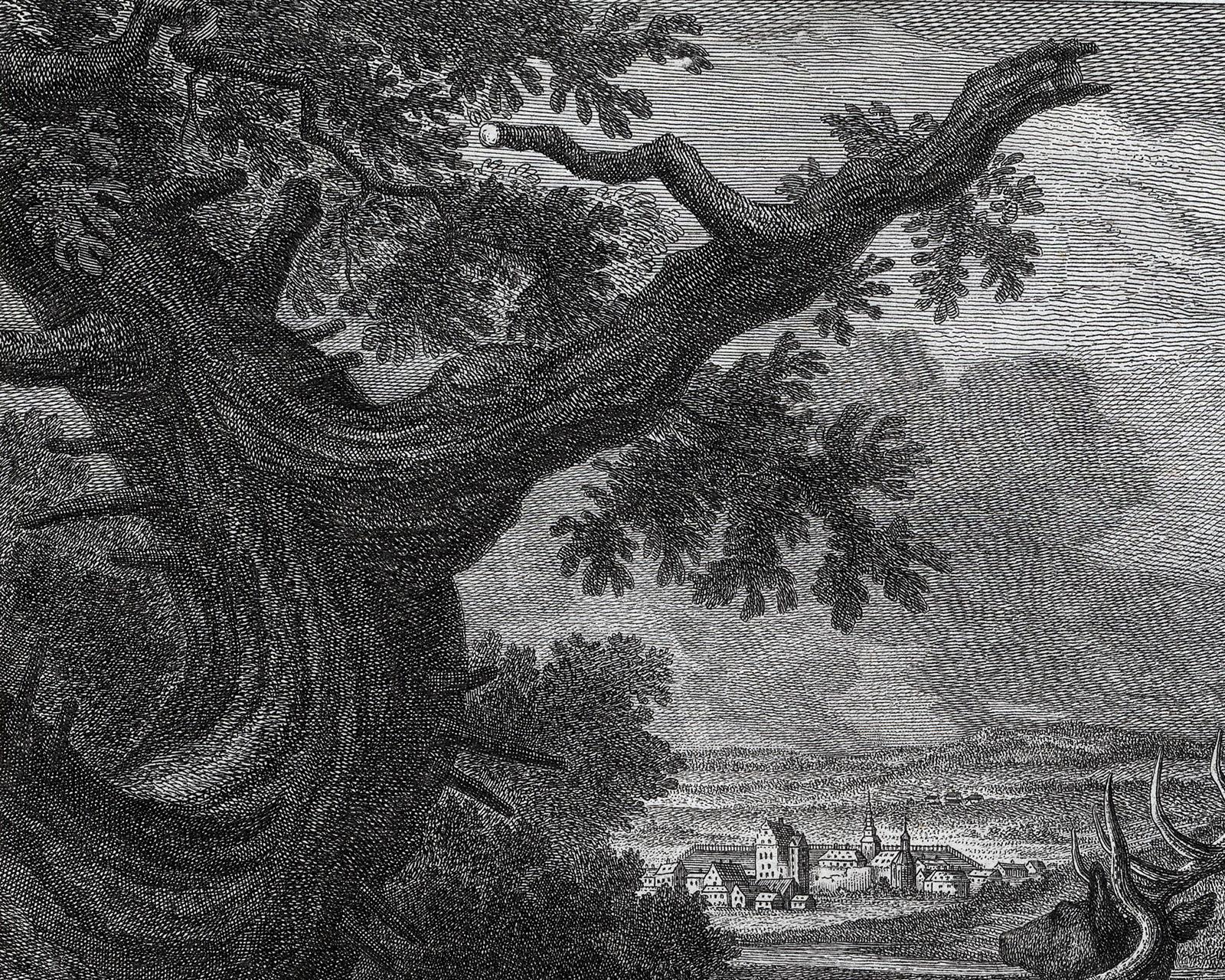 Antique hunting scene print in Romrod forest by Ridinger - Engraving - 18th c - Black Landscape Print by Martin Elias Ridinger