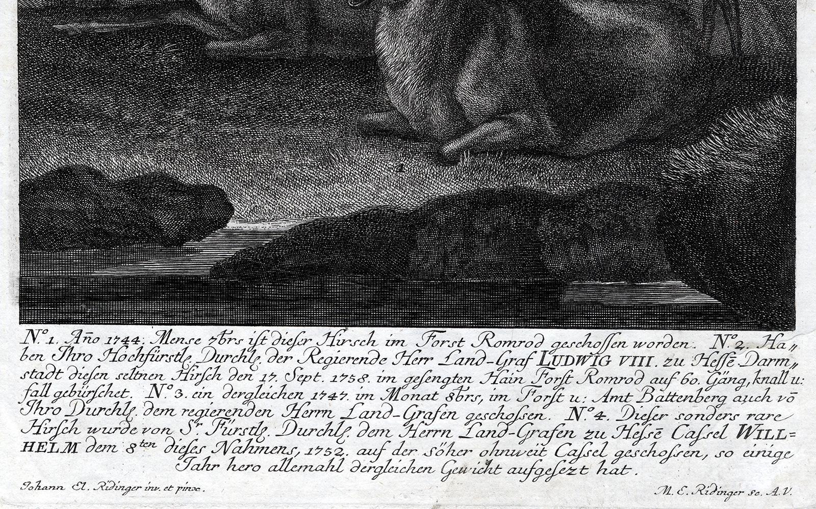 Subject: Antique print, titled: 'No. 1 Ano 1744: … Ist dieser Hirsch im Forst Romrod geschossen worden ... ' - Four deer shot in the Romrod forest by noblemen, with details about their antlers.

Description:  From: 'Virtute et Ingenio. Genaue und
