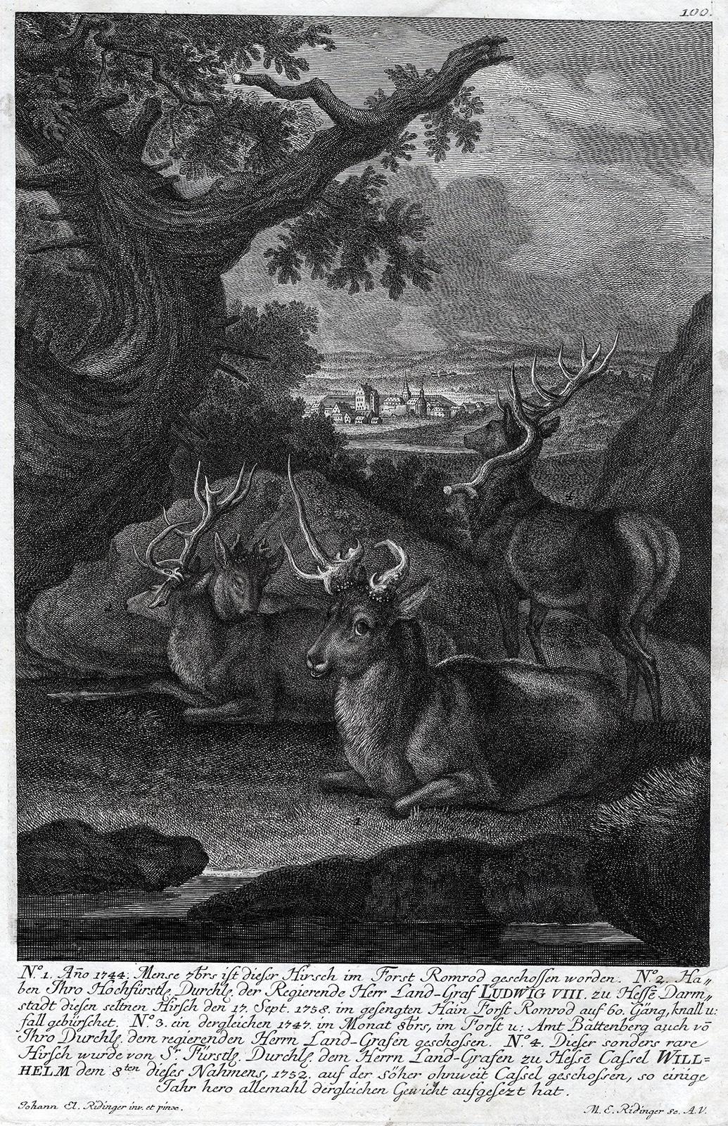 Martin Elias Ridinger Landscape Print - Antique hunting scene print in Romrod forest by Ridinger - Engraving - 18th c