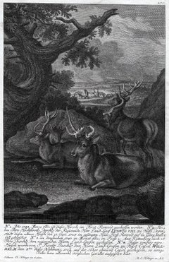 Antique hunting scene print in Romrod forest by Ridinger - Engraving - 18th c