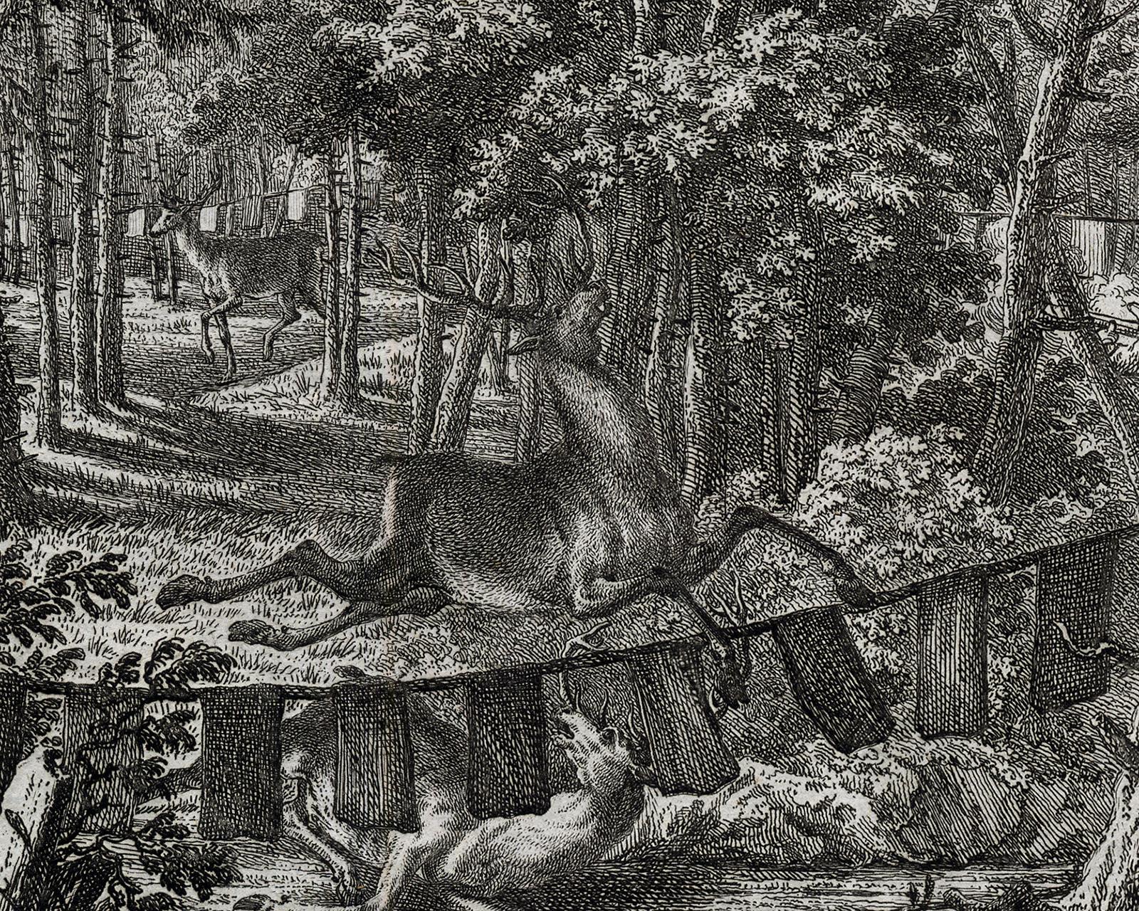 Subject: Antique print, titled: 'Das mit Flammen Schnuren umstelle Jagen.' - Hunting deer in an enclosed space. Ropes are used to section off a piece of forest, trapping the deer inside.

Description:  From: 'Virtute et Ingenio. Genaue und richtige