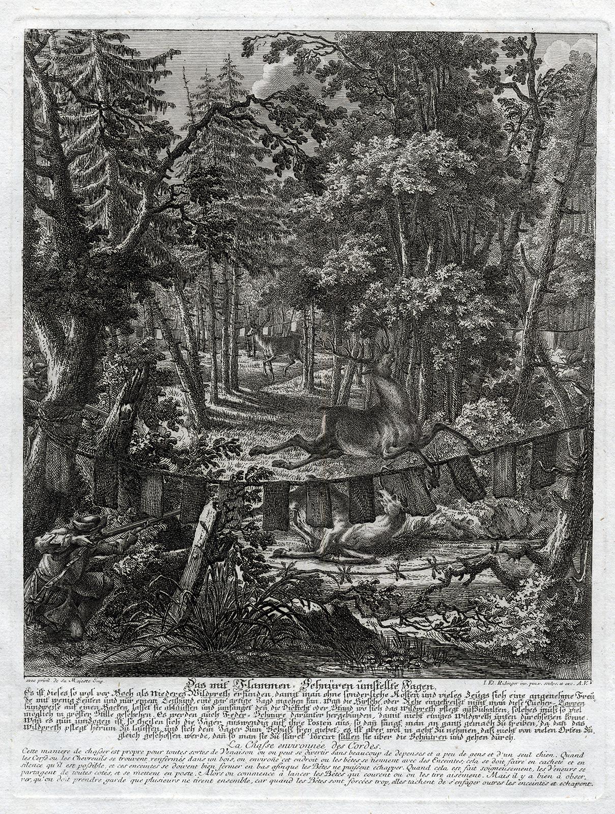 Martin Elias Ridinger Landscape Print - Antique hunting scene print with a deer trap by Ridinger - Engraving - 18th c