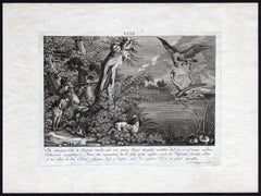 Antique hunting scene print with a swan by Ridinger - Engraving - 18th century