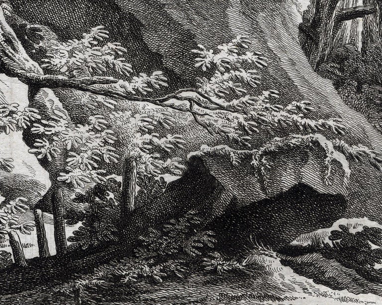 Martin Elias Ridinger - Antique hunting scene print with a ...