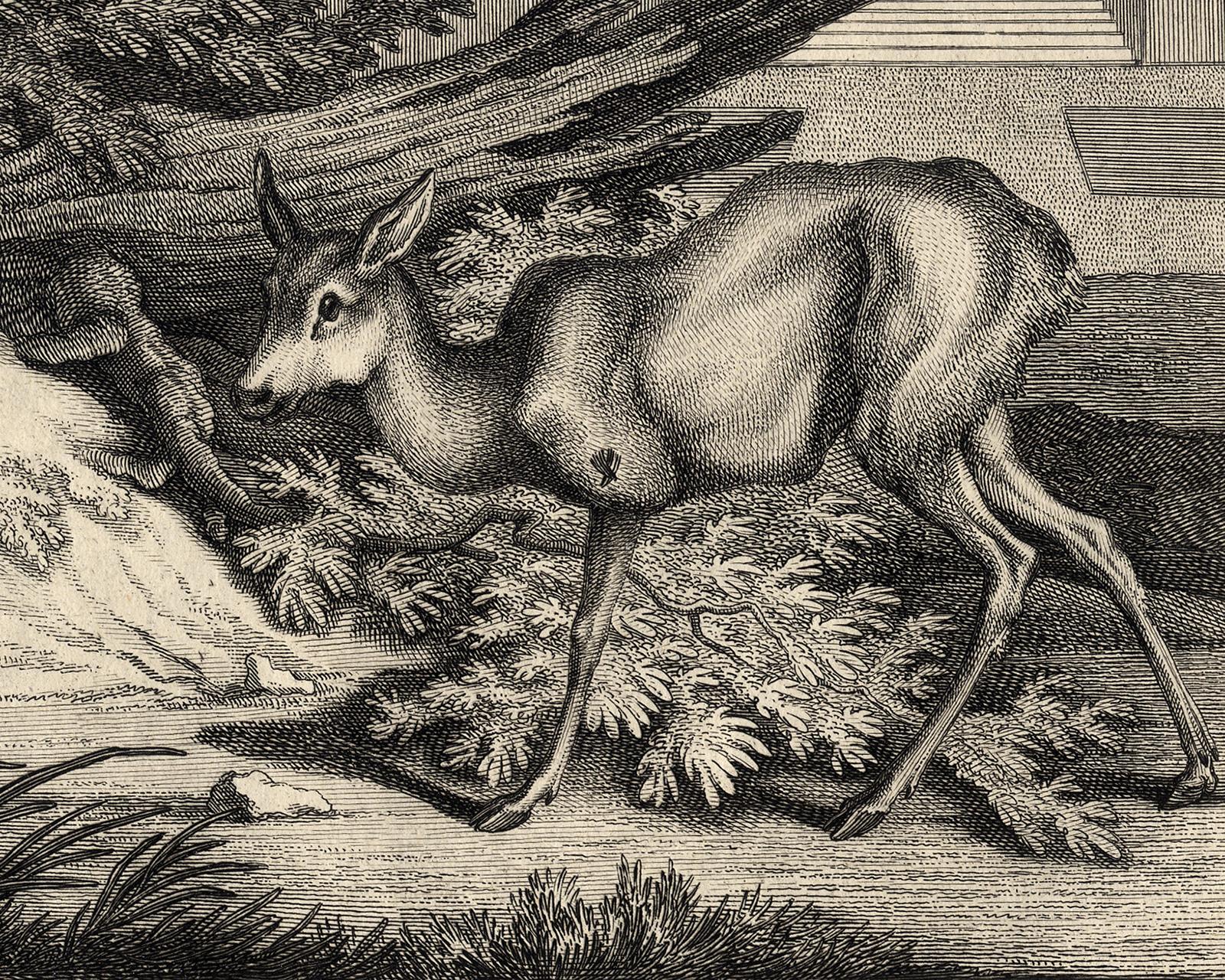 Antique hunting scene print with several deers by Ridinger - Engraving - 18th c - Old Masters Print by Martin Elias Ridinger