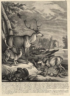 Antique hunting scene print with several deers by Ridinger - Engraving - 18th c