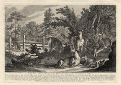 Antique hunting scene print with several deers by Ridinger - Engraving - 18th c