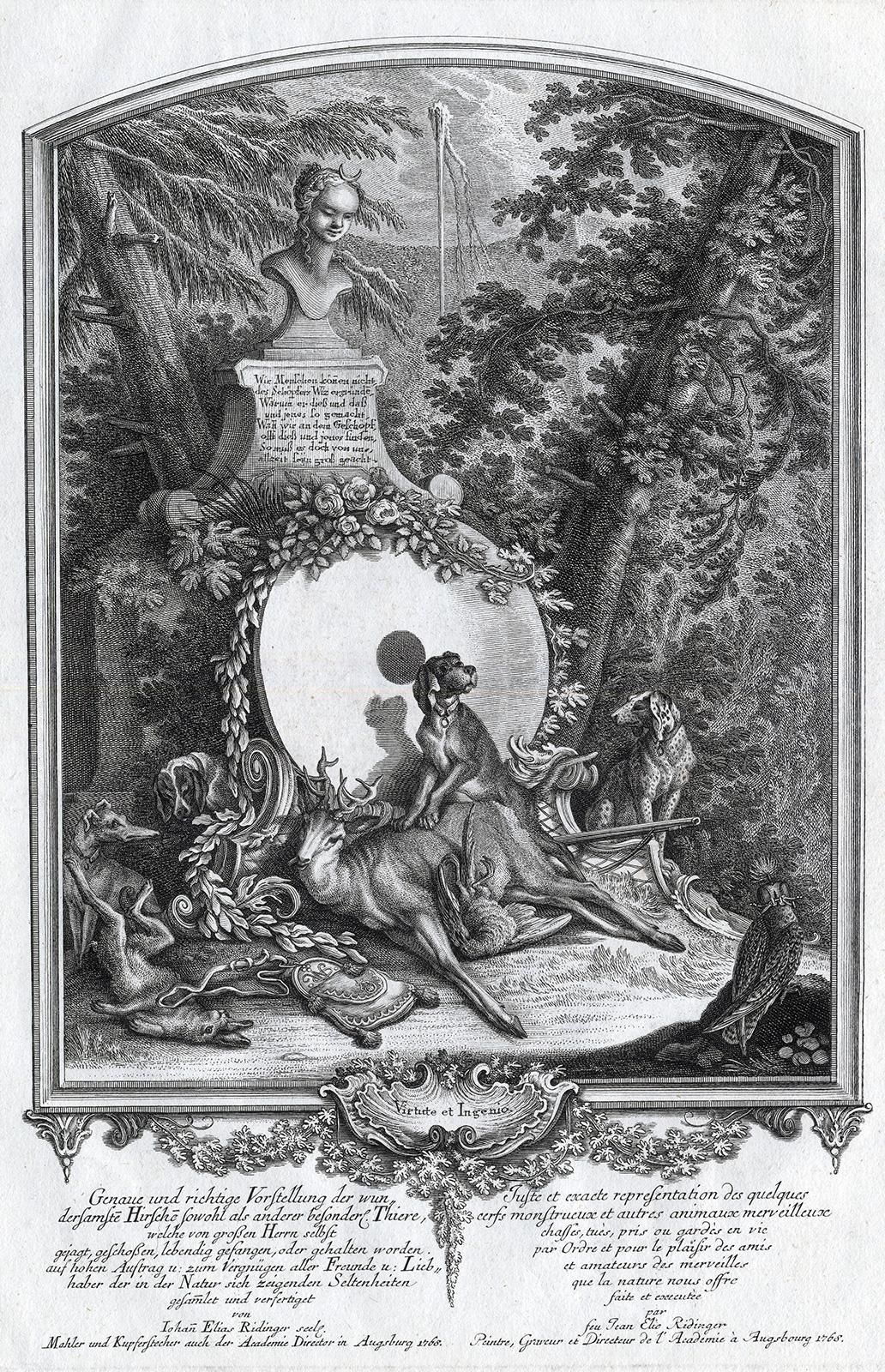 Martin Elias Ridinger Landscape Print - Antique print showing Selene and a hunting dog by Ridinger - Engraving - 18th c