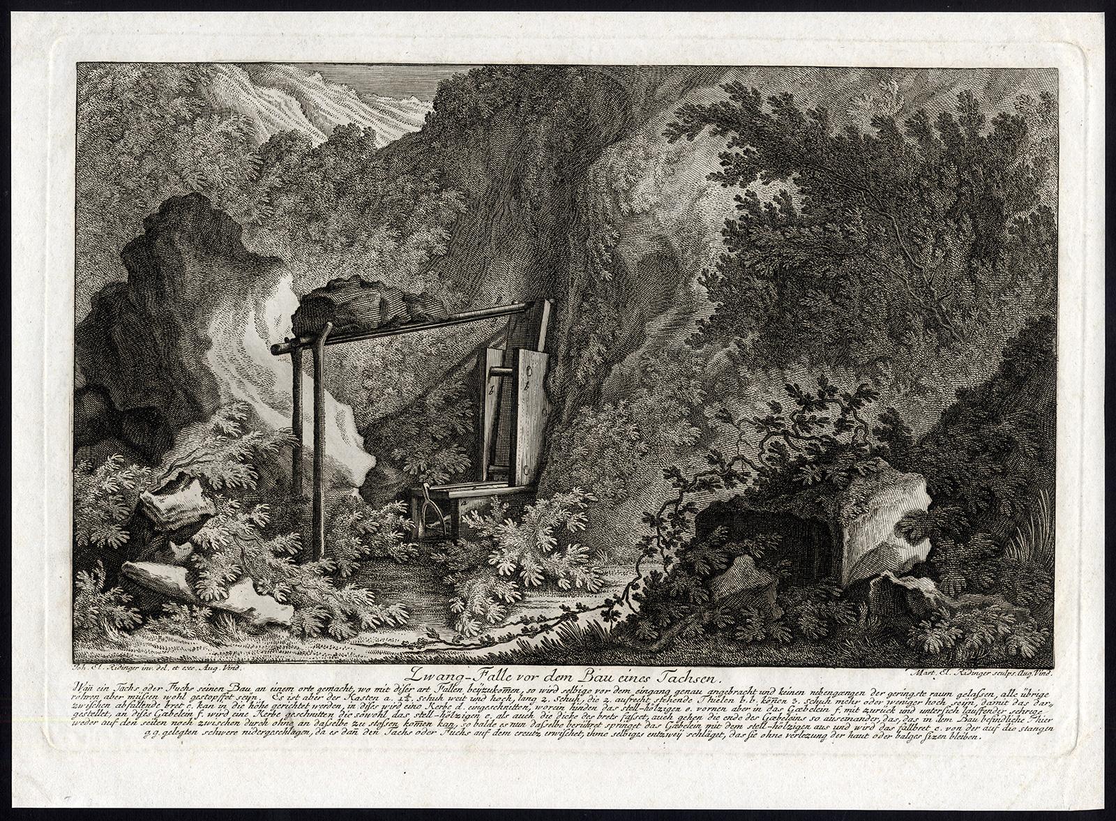 Hunting scene catching a badger in a trap by Ridinger - Engraving - 18th century - Print by Martin Elias Ridinger