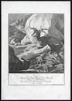 Hunting scene print with a deer shot in Serbia by Ridinger - Engraving - 18th c