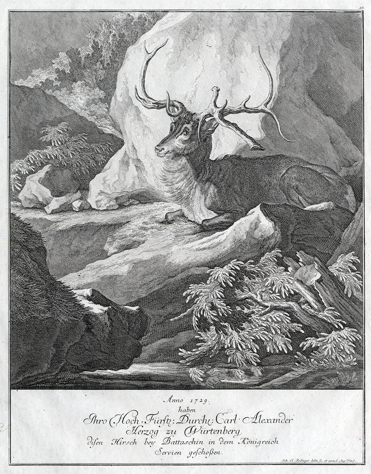 Martin Elias Ridinger Landscape Print - Hunting scene print with a deer shot in Serbia by Ridinger - Engraving - 18th c