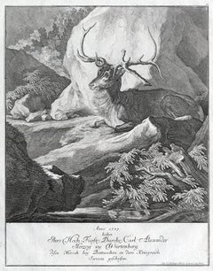 Hunting scene print with a deer shot in Serbia by Ridinger - Engraving - 18th c