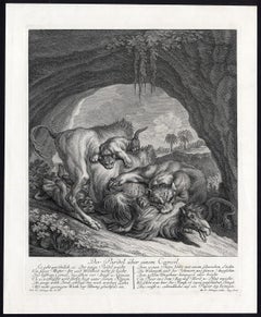 Hunting scene with a leopard jumping a camel by Ridinger - Engraving - 18th c