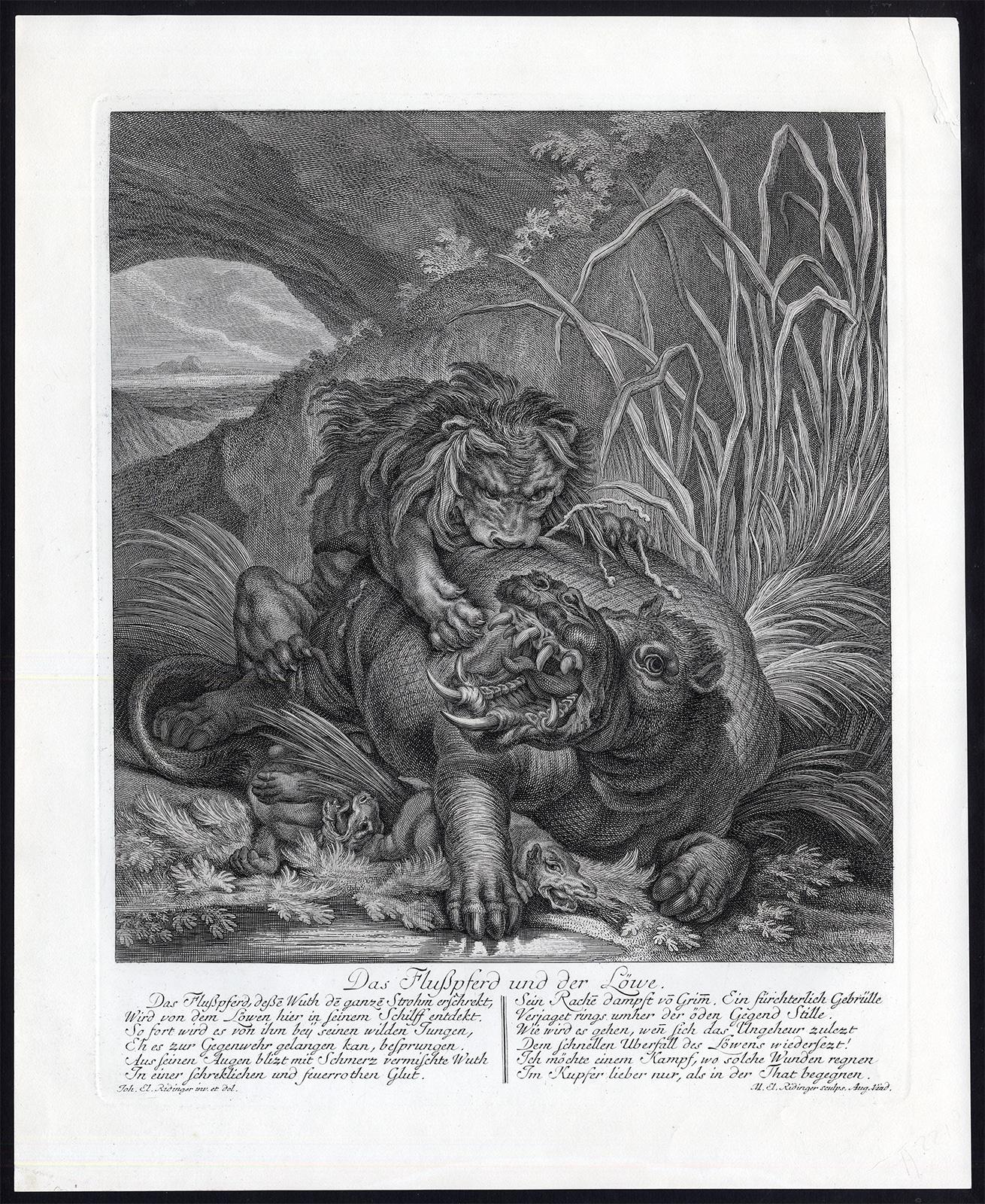 Hunting scene with a lion jumping a hippo by Ridinger - Engraving - 18th c - Print by Martin Elias Ridinger