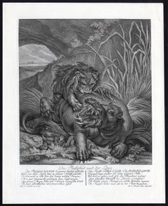Hunting scene with a lion jumping a hippo by Ridinger - Engraving - 18th c