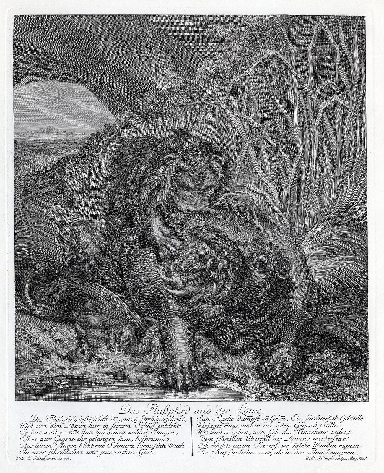 Martin Elias Ridinger Landscape Print - Hunting scene with a lion jumping a hippo by Ridinger - Engraving - 18th c