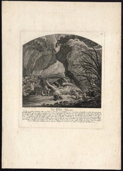 Hunting scene with a swan surrounded by dogs by Ridinger - Engraving - 18th c