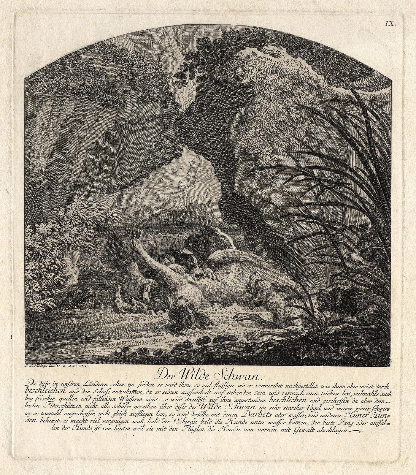 Martin Elias Ridinger Landscape Print - Hunting scene with a swan surrounded by dogs by Ridinger - Engraving - 18th c
