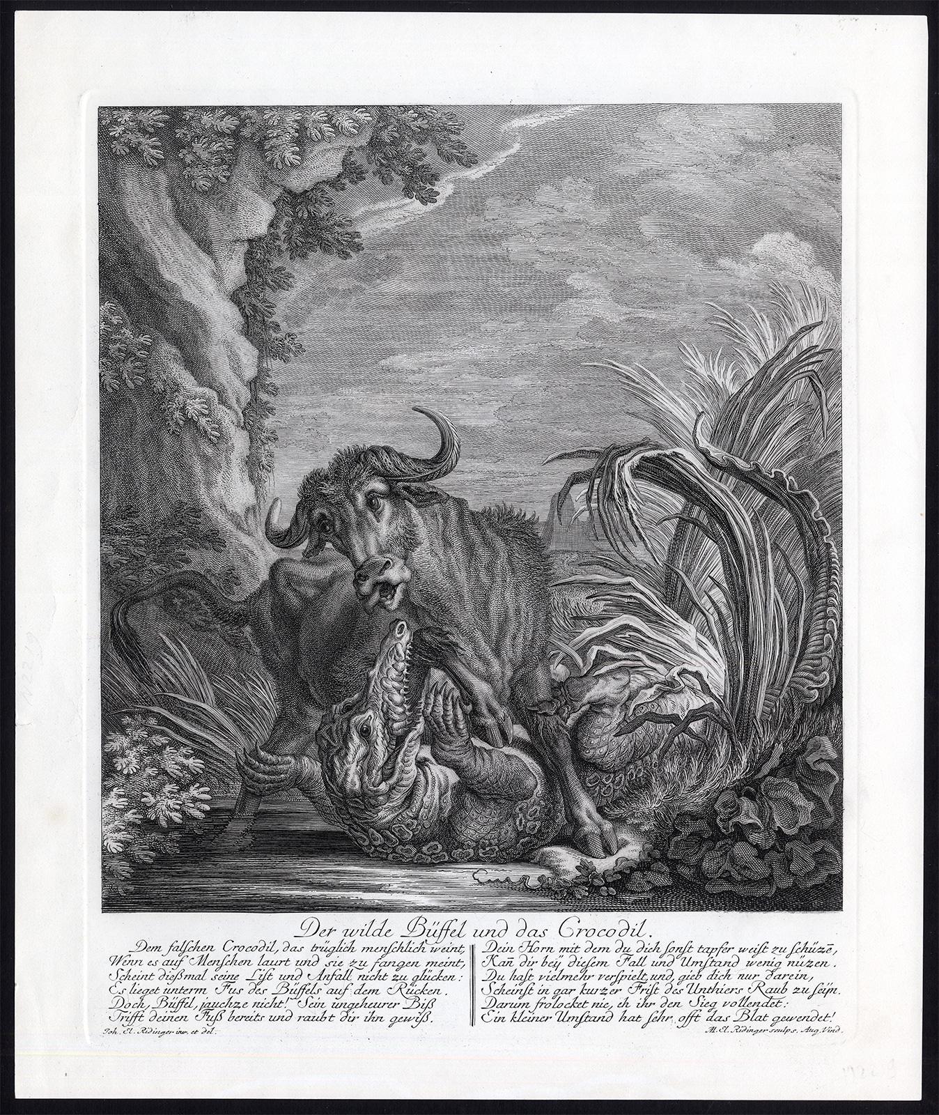 Hunting scene with water buffalo and crocodile by Ridinger - Engraving - 18th c - Print by Martin Elias Ridinger