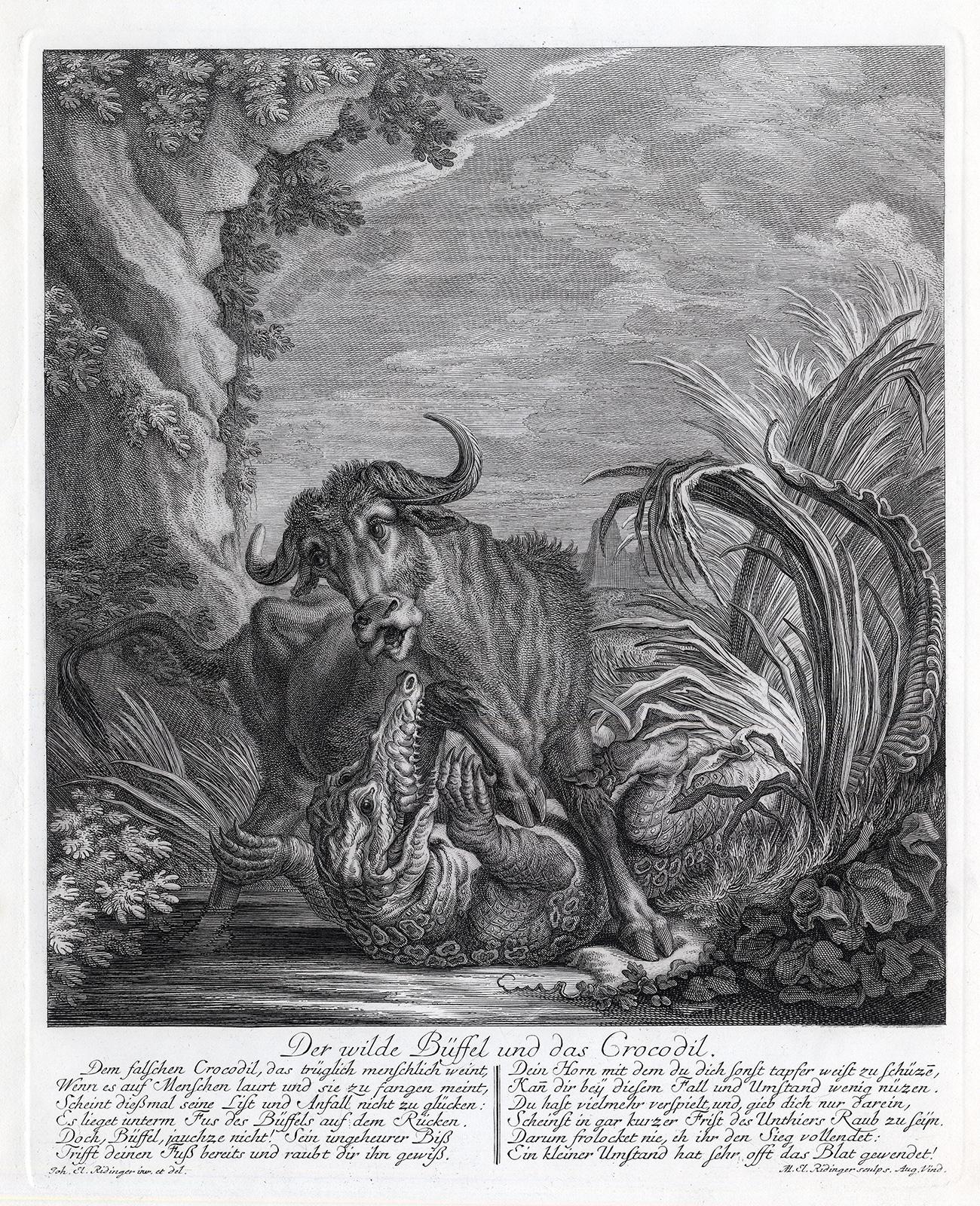 Martin Elias Ridinger Landscape Print - Hunting scene with water buffalo and crocodile by Ridinger - Engraving - 18th c
