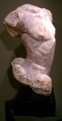 Torso maschile classico