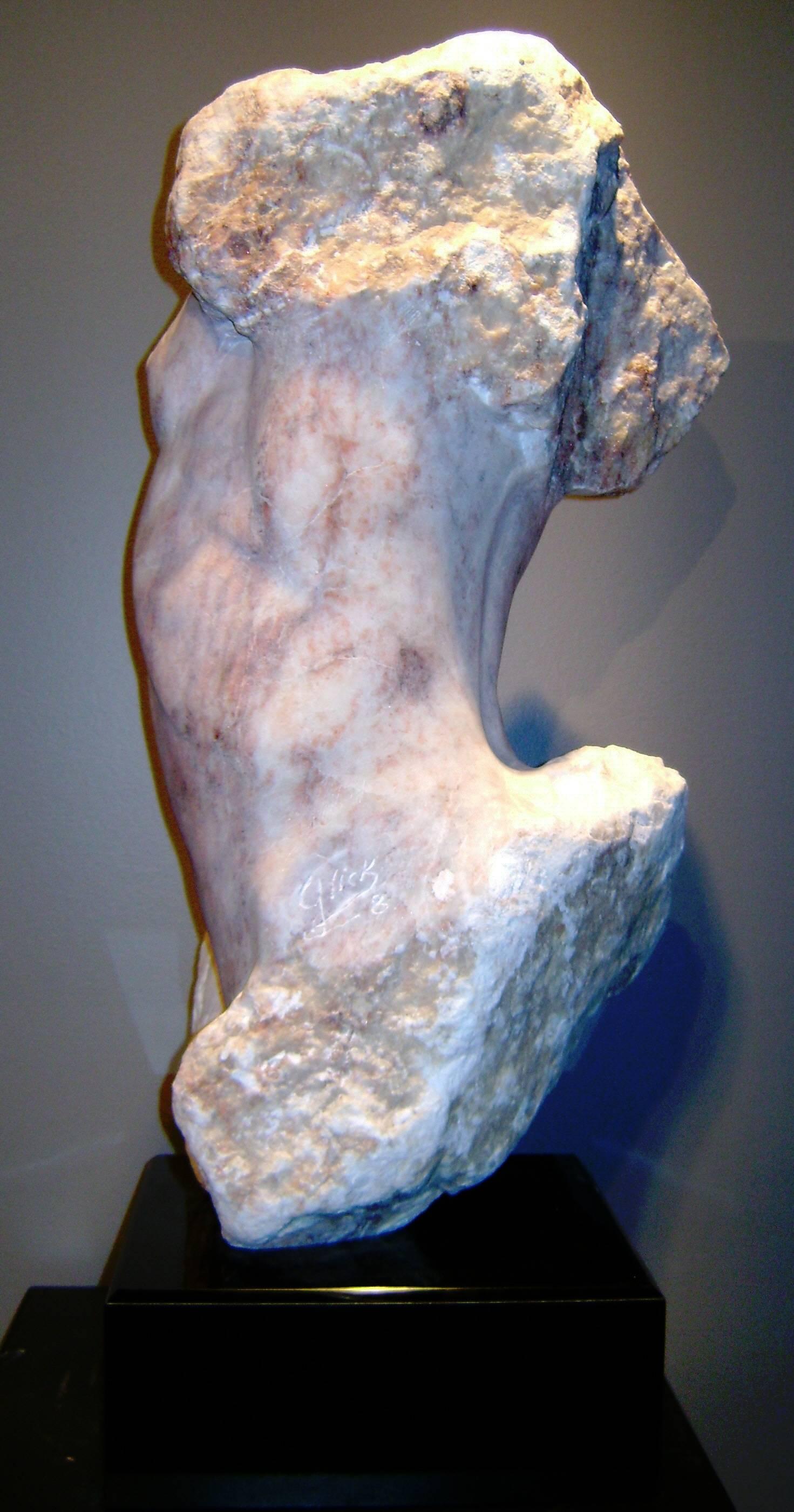 Classical Male Torso - Renaissance Sculpture by Martin Glick